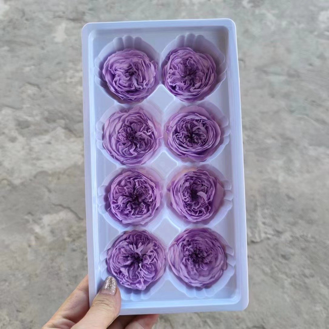 P-7 Real Preserved flower Austin Rose for Bouquet DecorationPreserved Rose Heads
