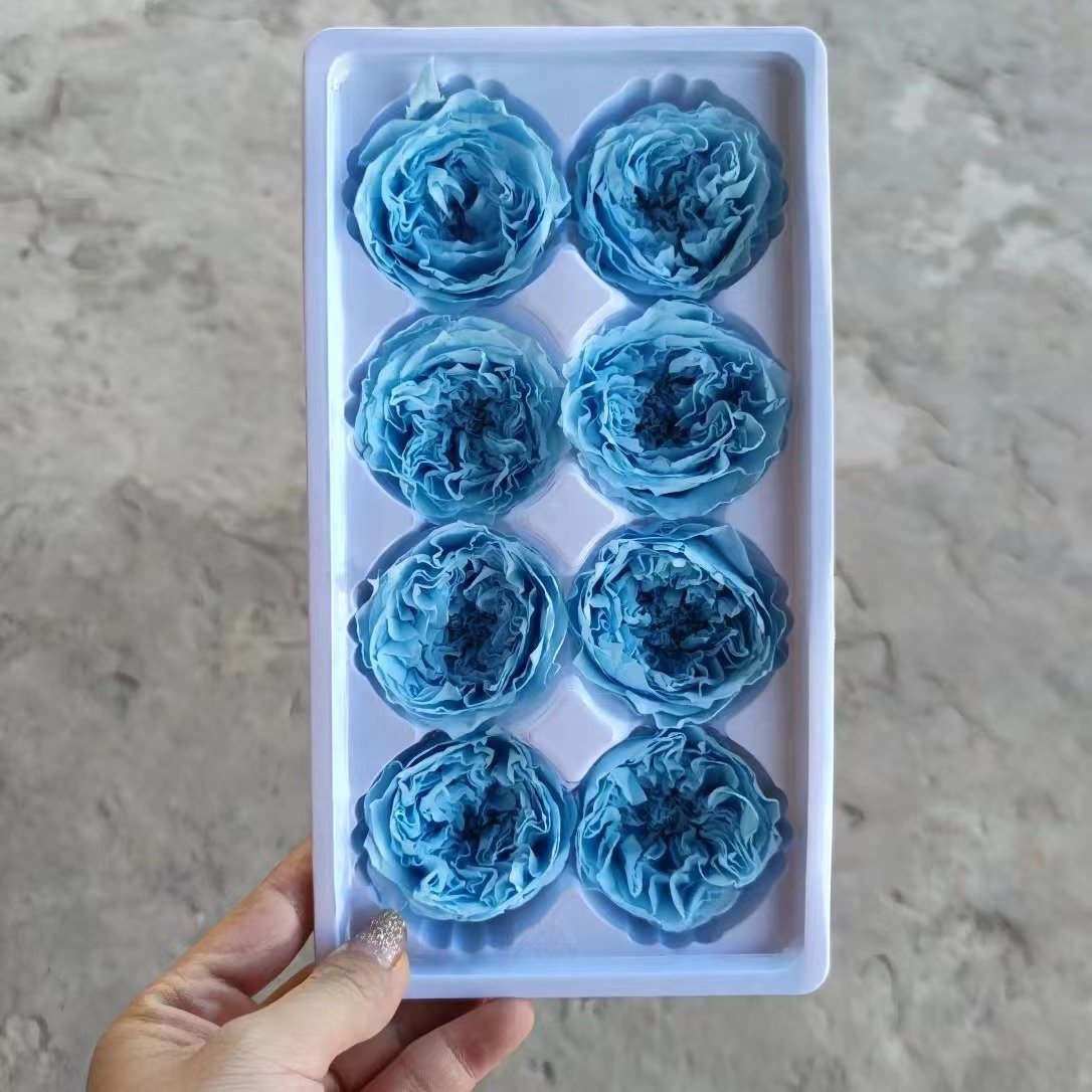 P-7 Real Preserved flower Austin Rose for Bouquet DecorationPreserved Rose Heads