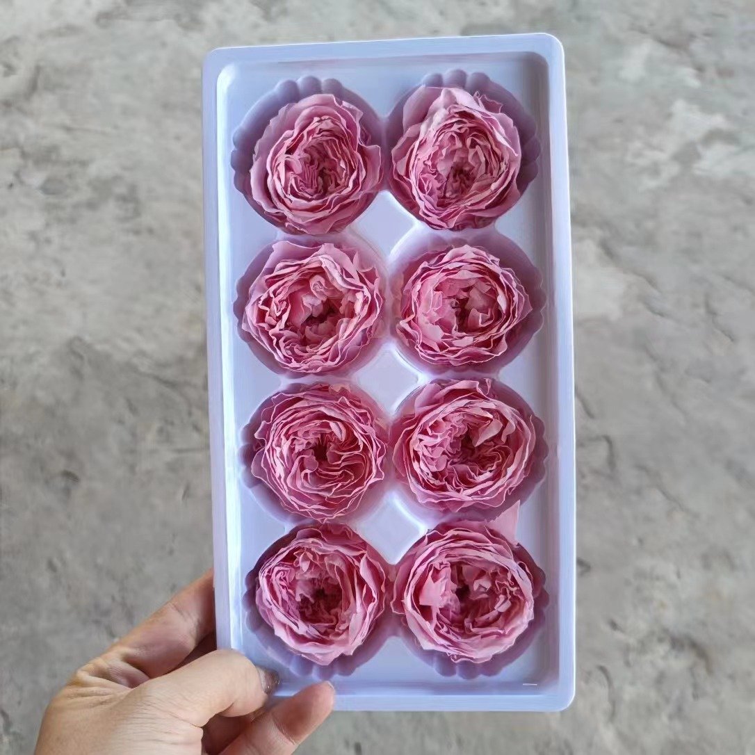 P-7 Real Preserved flower Austin Rose for Bouquet DecorationPreserved Rose Heads