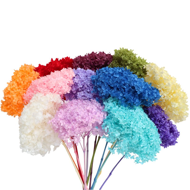 Multi Color Hot Selling Anna Preserved Hydrangea Flowers With Stem 20cm White Hydrangea For Wedding Decoration