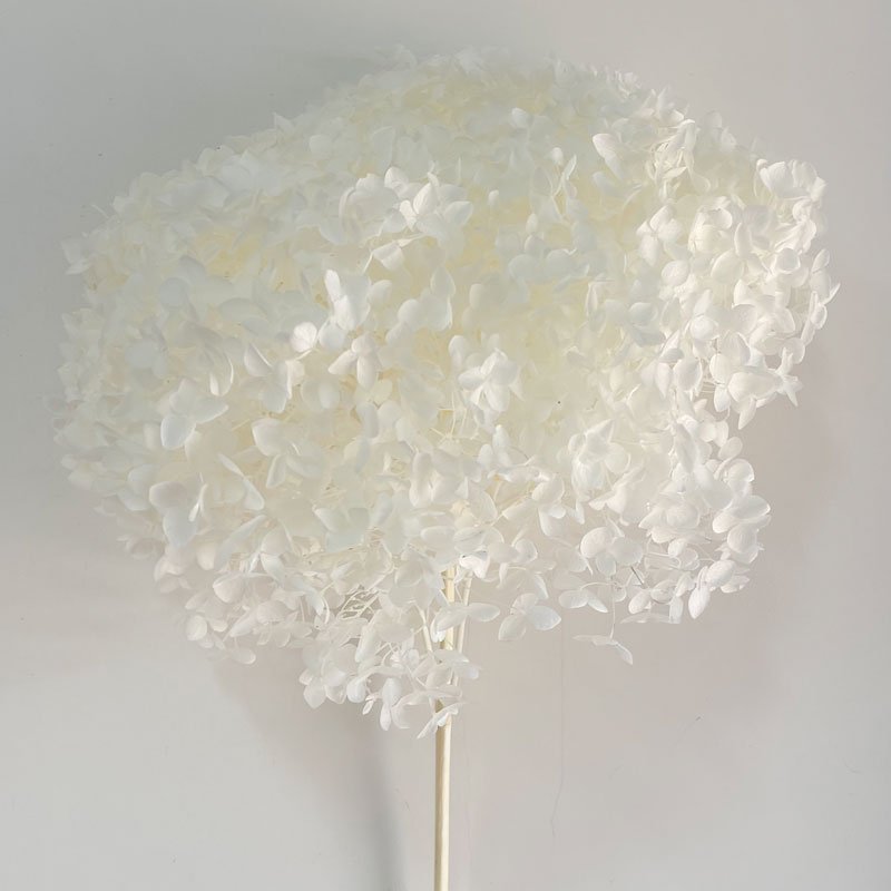 Multi Color Hot Selling Anna Preserved Hydrangea Flowers With Stem 20cm White Hydrangea For Wedding Decoration