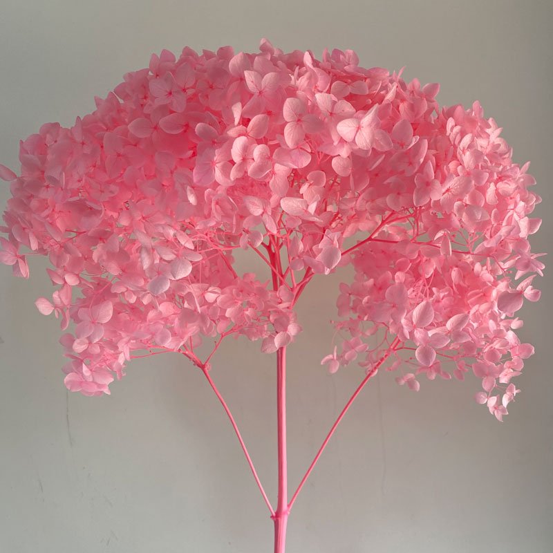 Multi Color Hot Selling Anna Preserved Hydrangea Flowers With Stem 20cm White Hydrangea For Wedding Decoration