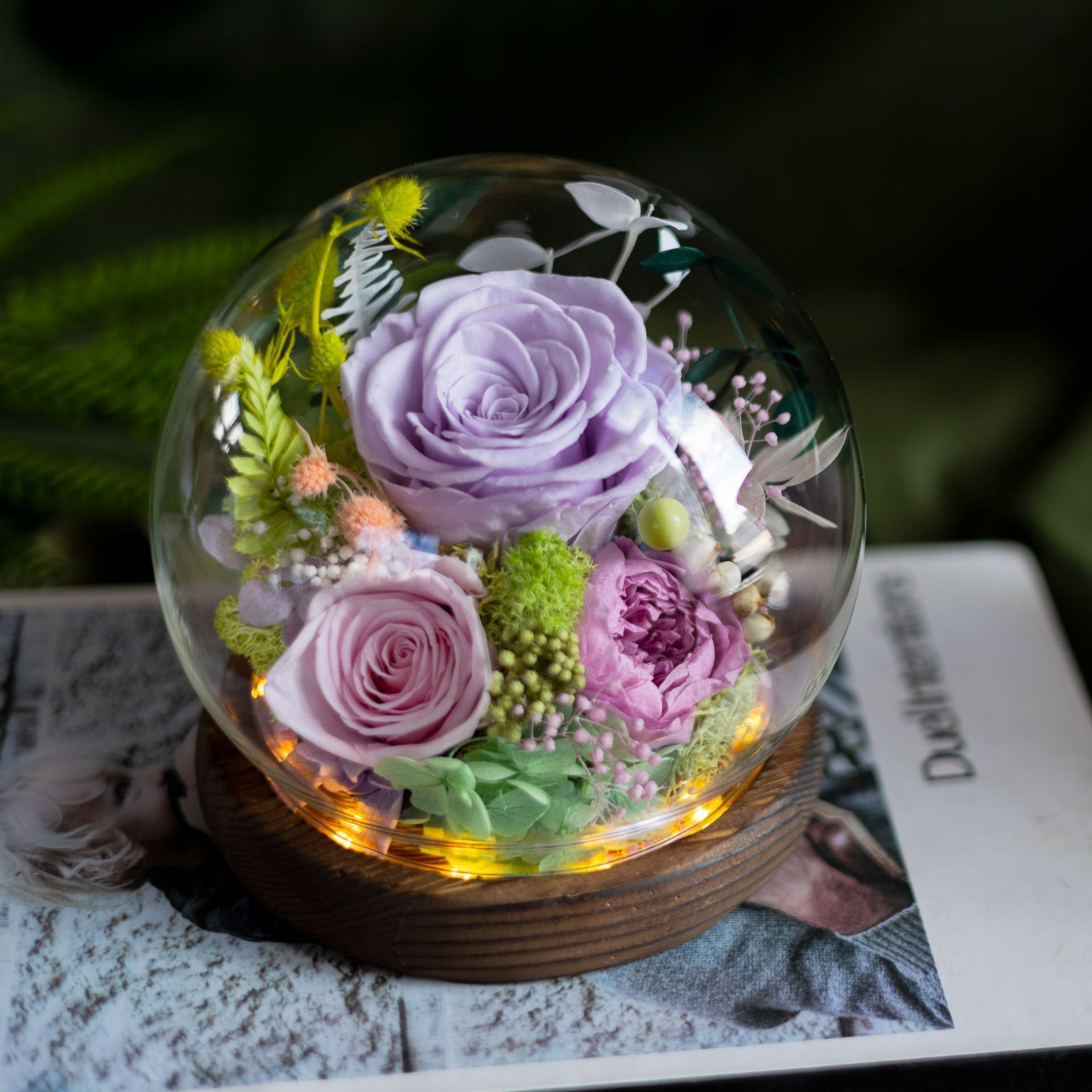 Valentines Day Gifts Eternal Real Rose Everlasting Bella New Product Ideas 2025 Forever Roses Preserved Flower in Glass Dome
