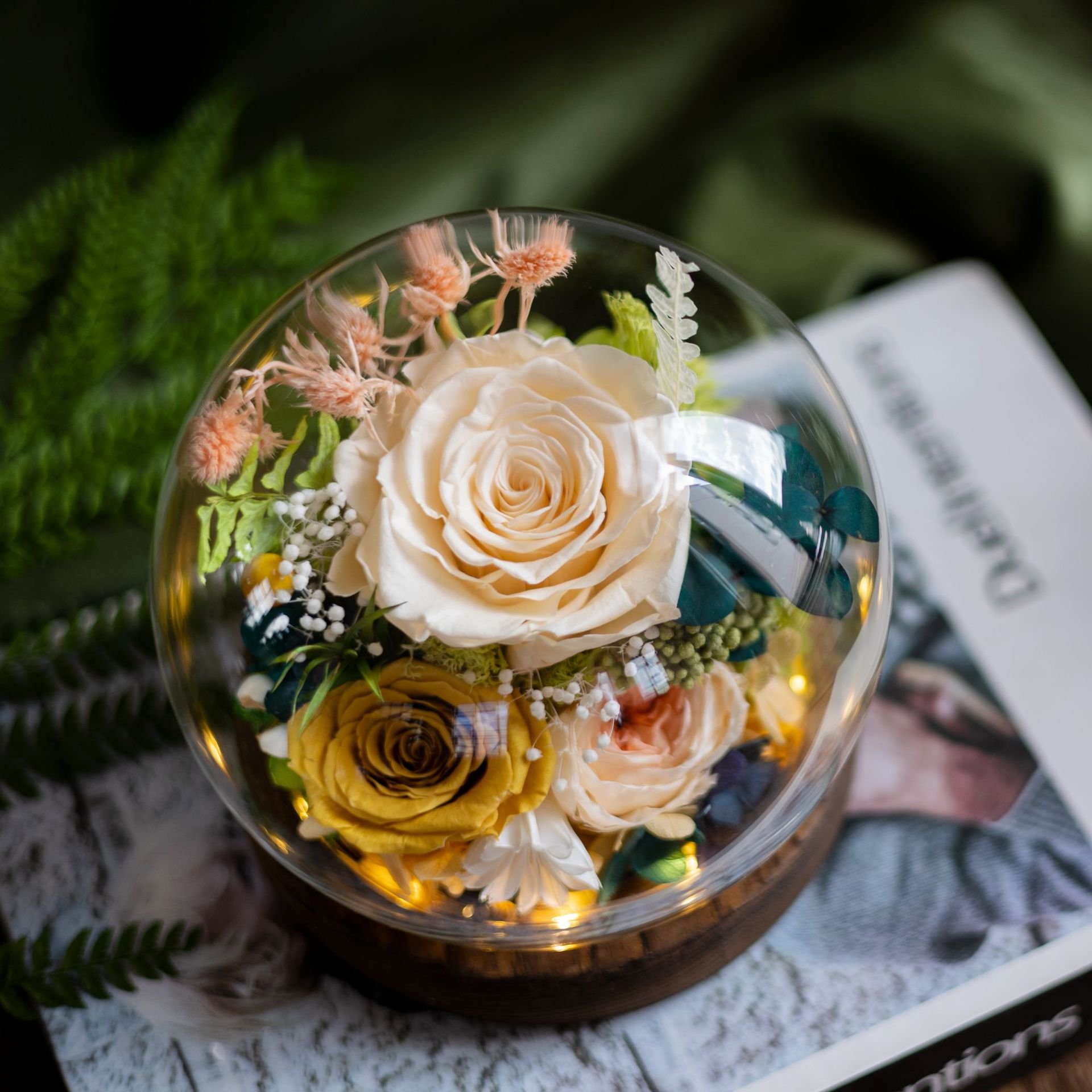Valentines Day Gifts Eternal Real Rose Everlasting Bella New Product Ideas 2025 Forever Roses Preserved Flower in Glass Dome