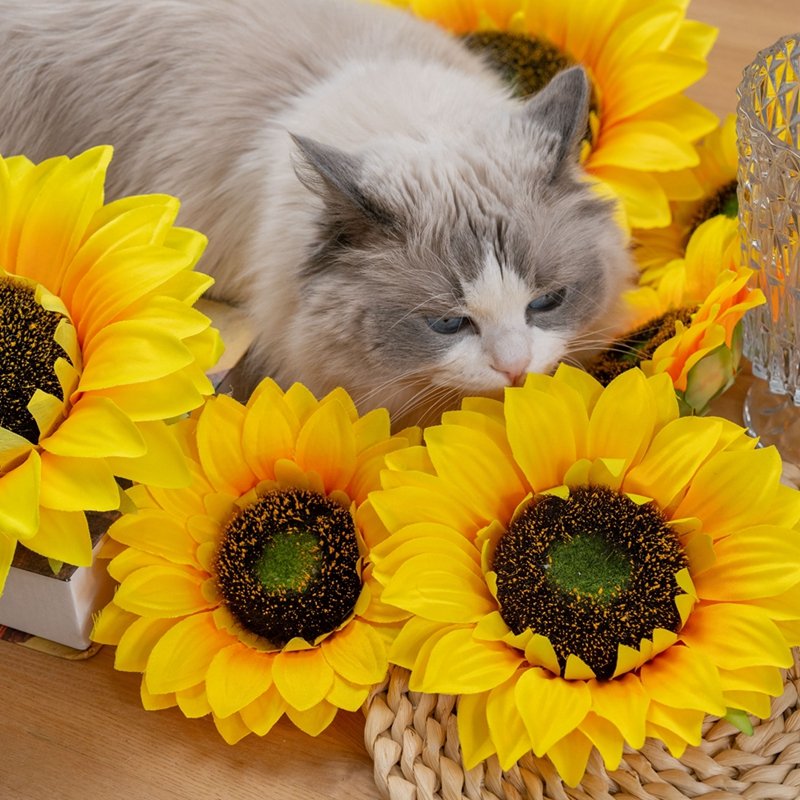 MW33221 Decorative Giant Artificial Flowers Fabric Yellow Sunflower Flower Heads in stock in various sizes For Decoration