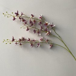 7#
