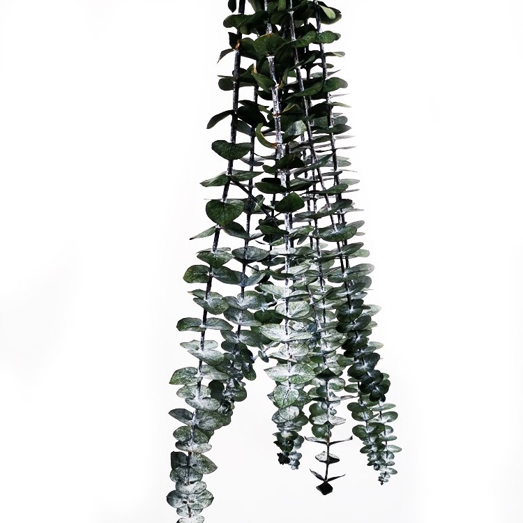 SumFlora Wholesale Beautiful flower preserved eucalyptus leaves for home decoration window display wedding flower