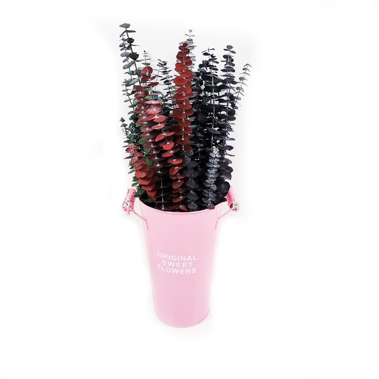 SumFlora Wholesale Beautiful flower preserved eucalyptus leaves for home decoration window display wedding flower
