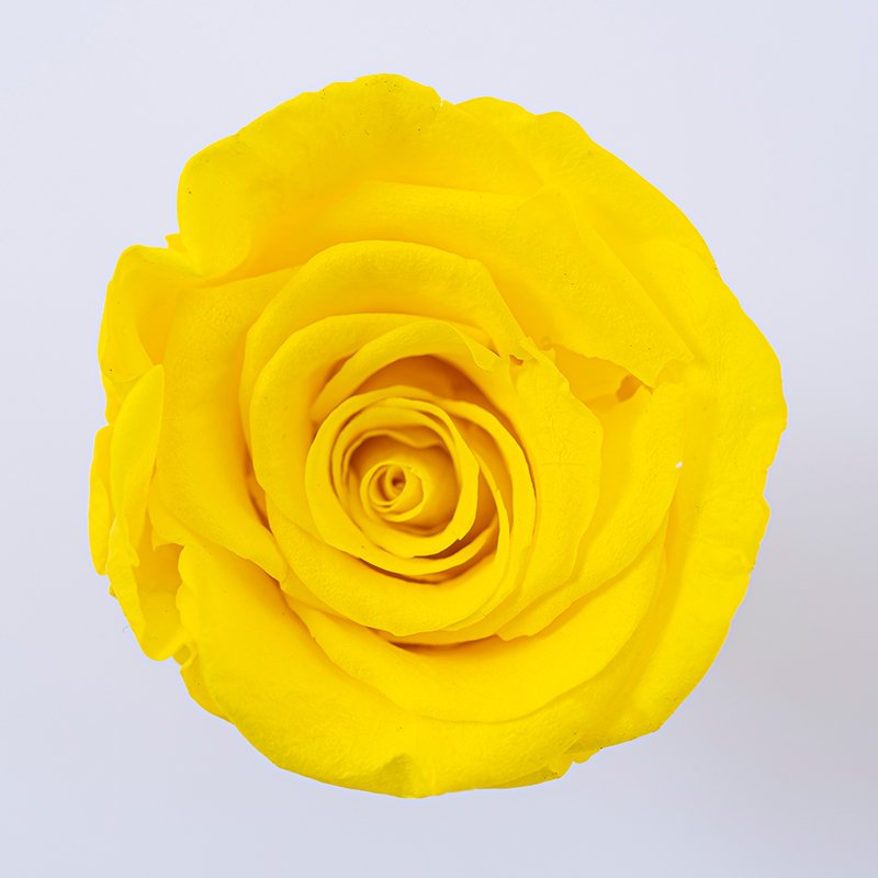 Wholesale DIY bouquets eternal flower materials rose heads floral materials gift decorations festive atmosphere