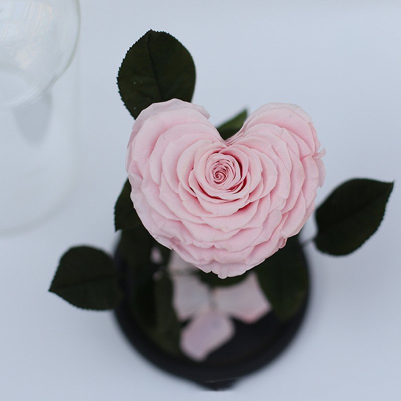 Wholesale High Quality Beautiful Sweet Love Heart Shape Preserved Rose in Glass Dome