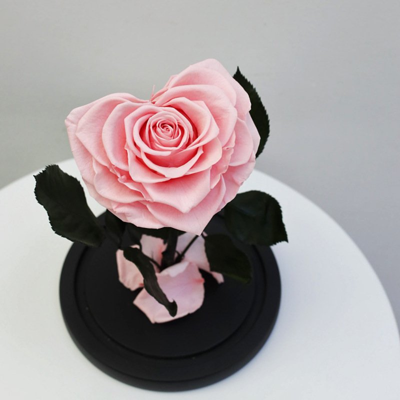 Wholesale High Quality Beautiful Sweet Love Heart Shape Preserved Rose in Glass Dome