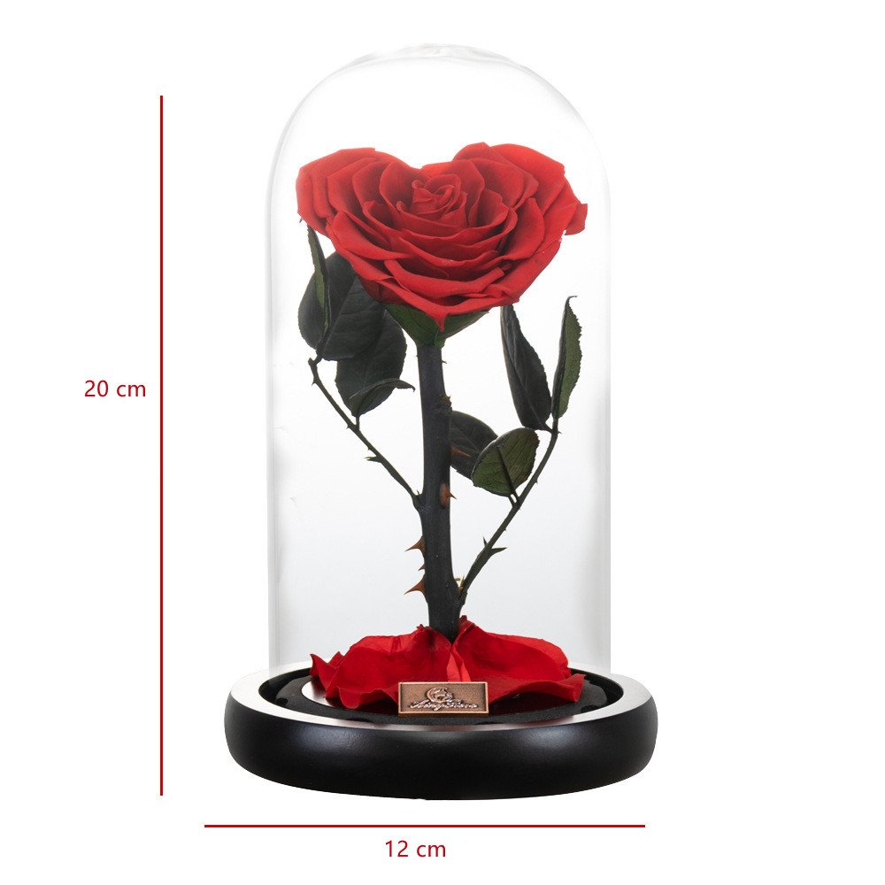 Wholesale High Quality Beautiful Sweet Love Heart Shape Preserved Rose in Glass Dome