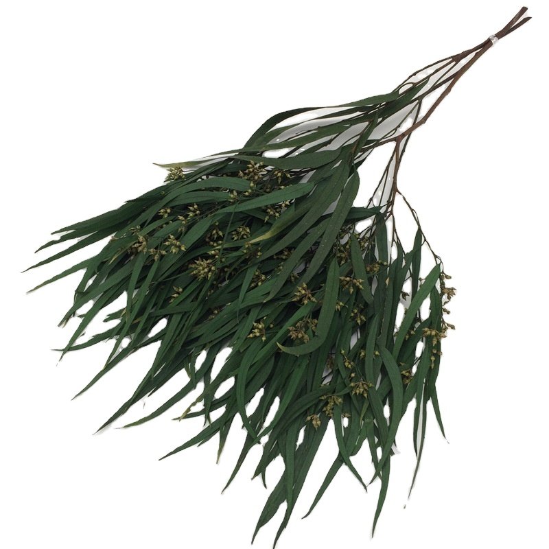 Preserved natural Eucalyptus leaf branches, decorative long green leaves flower, home decor