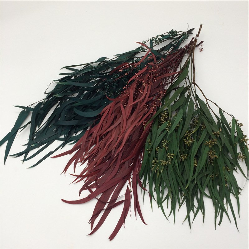 Preserved natural Eucalyptus leaf branches, decorative long green leaves flower, home decor