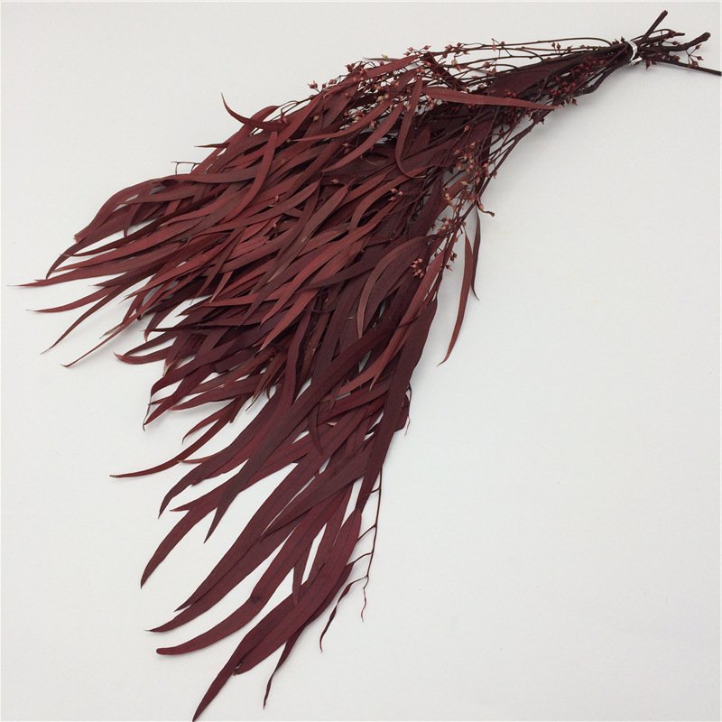 Preserved natural Eucalyptus leaf branches, decorative long green leaves flower, home decor