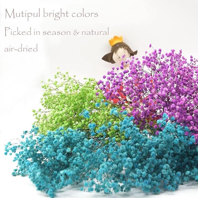 Preserved Baby's Breath Bunches 100% Natrual Fresh Gypsophila Long Lasting Flowers for Vase Arrangements Home Decoration
