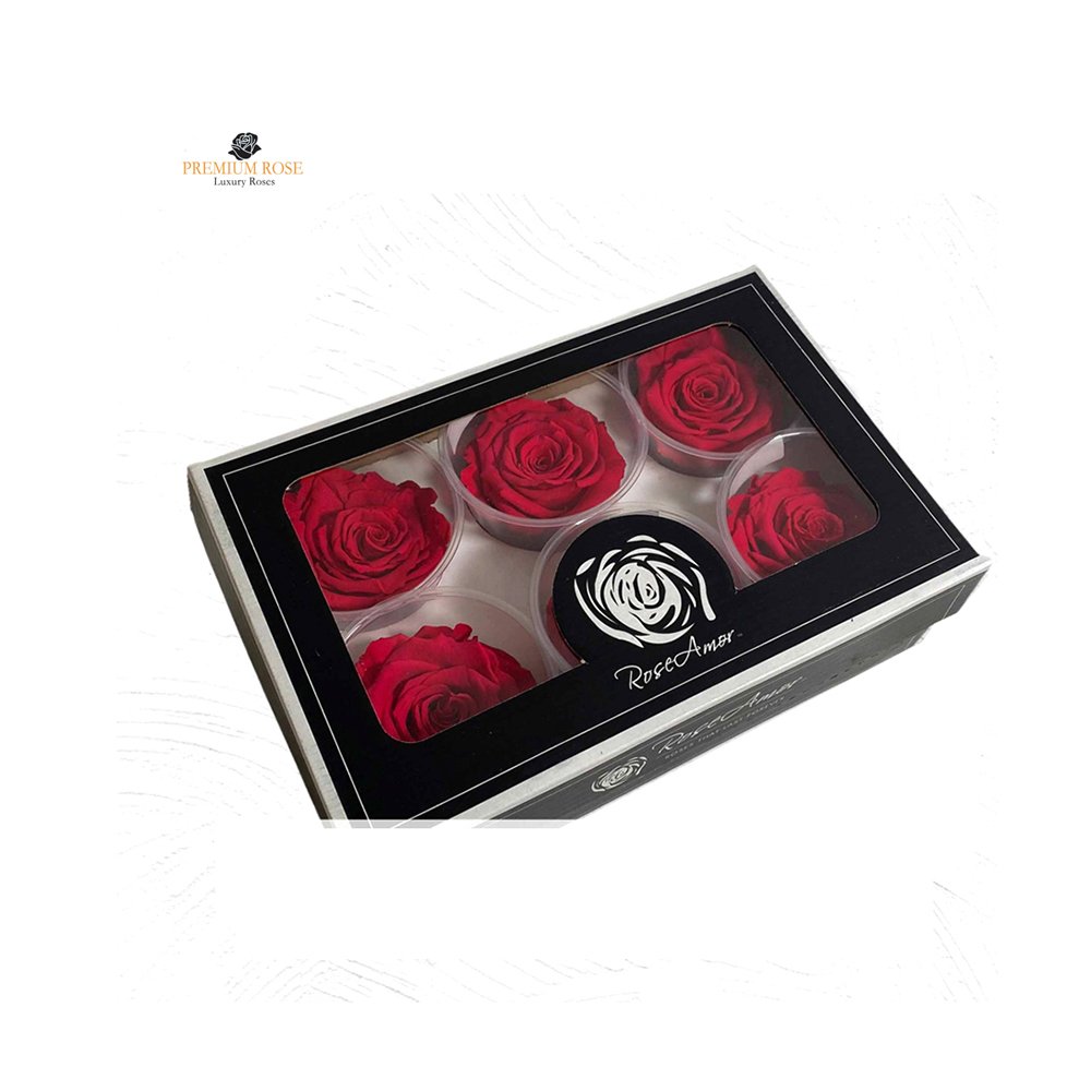 Top Grade Luxury Stabilized Pink Rose Beautiful Natural Rose For Anniversary Wedding Decor