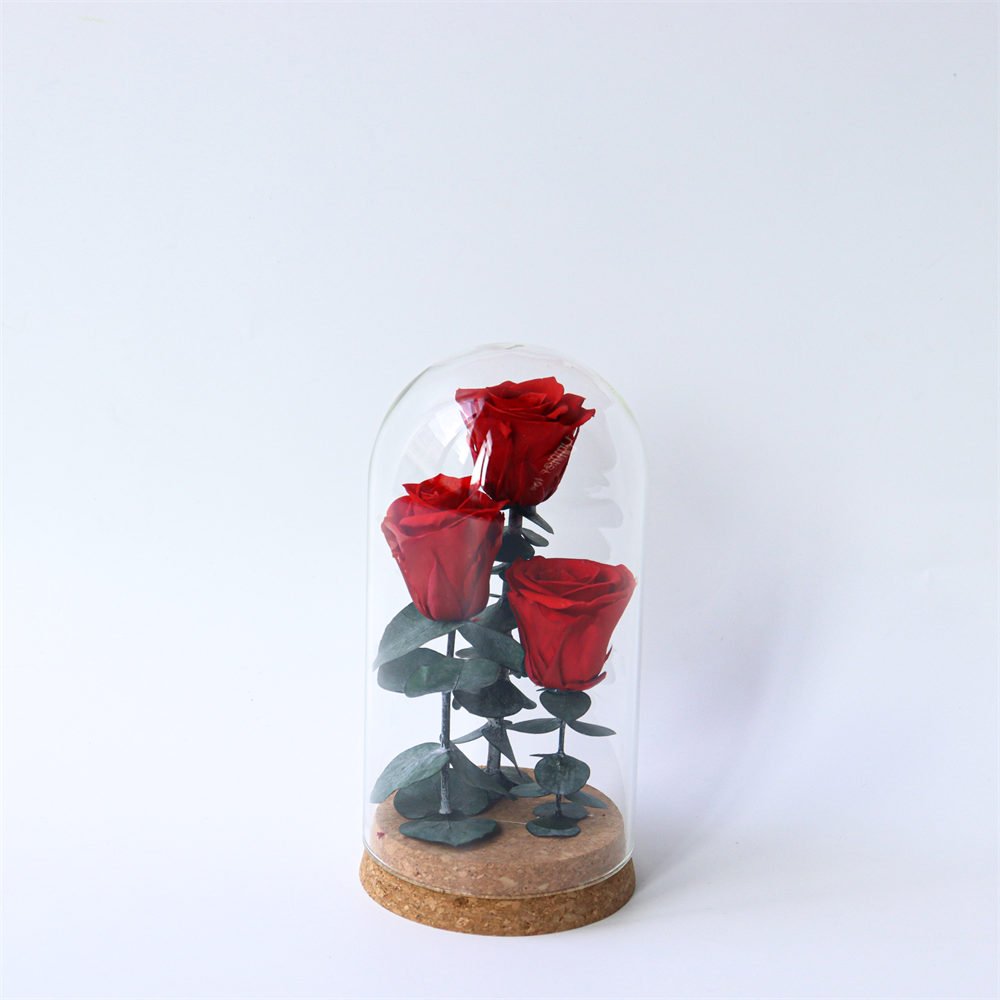 Eternal Rose Flowers Morthers Day Everlasting Preserved Flower Forever Roses In Glass Dome Led