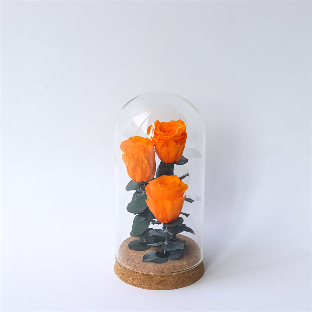Eternal Rose Flowers Morthers Day Everlasting Preserved Flower Forever Roses In Glass Dome Led