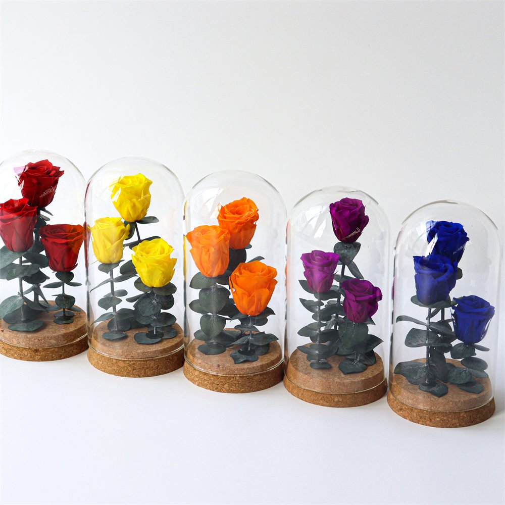 Eternal Rose Flowers Morthers Day Everlasting Preserved Flower Forever Roses In Glass Dome Led