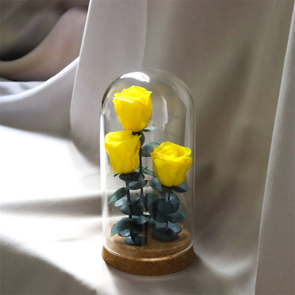 Eternal Rose Flowers Morthers Day Everlasting Preserved Flower Forever Roses In Glass Dome Led