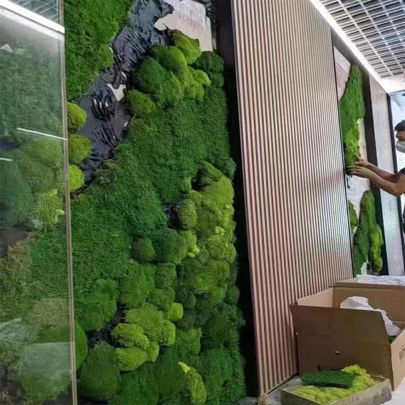 Wholesale Eco-Friendly New Idea Stabilized Preserved Pole Moss Home Decoration Christmas Graduation Easter Eucalyptus Cotton
