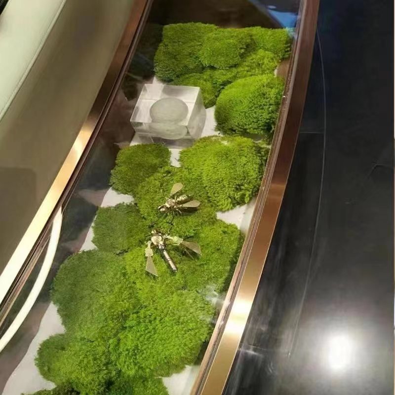 Wholesale Eco-Friendly New Idea Stabilized Preserved Pole Moss Home Decoration Christmas Graduation Easter Eucalyptus Cotton