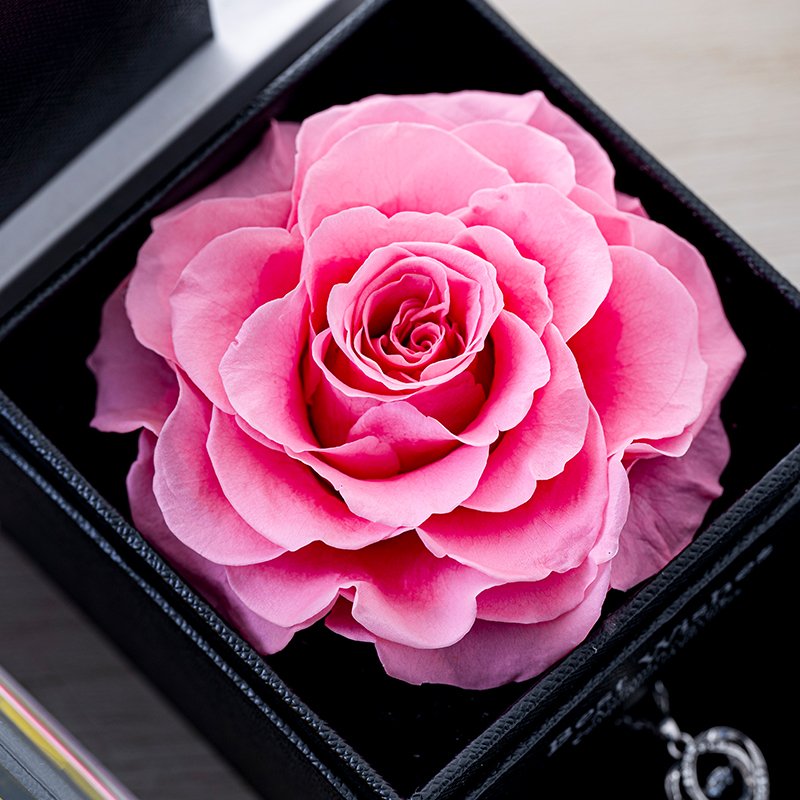 Unparalleled True Flower Immortal Flower Preservation Flower Collection Gifts to Beloved Gifts