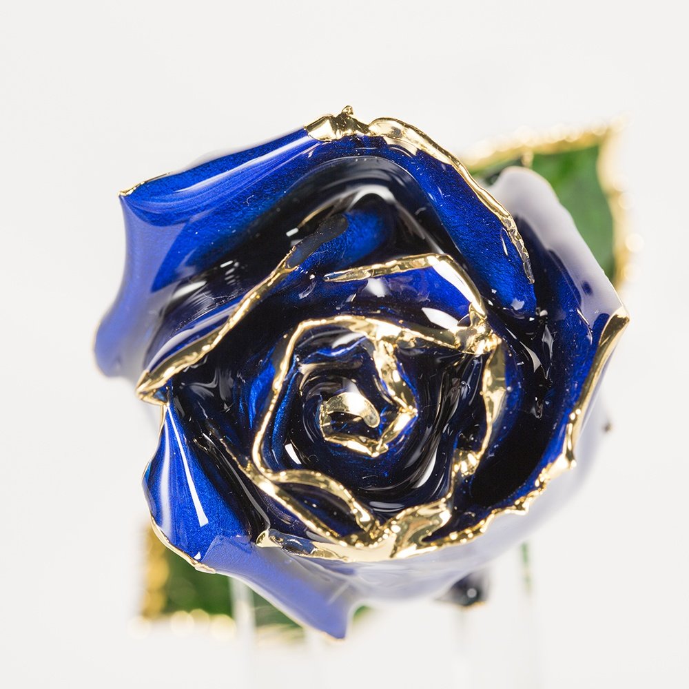 Half-blooming 24k Gold trimmed rose Handmade flowers preserved fresh Rose with Stem Present rose gift