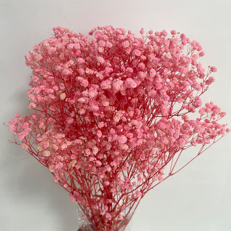 Yunnan Customized Color Baby's Breath Flowers Dried Gypsophila Flower DIY Floral Bouquets Celebration Arrangement Wedding
