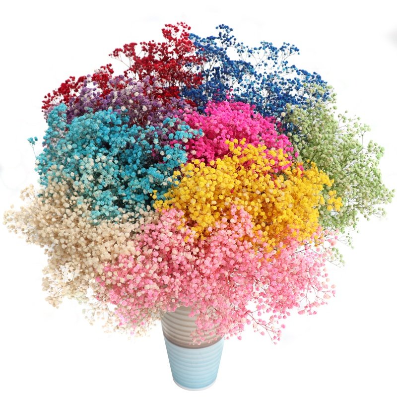 Yunnan Customized Color Baby's Breath Flowers Dried Gypsophila Flower DIY Floral Bouquets Celebration Arrangement Wedding