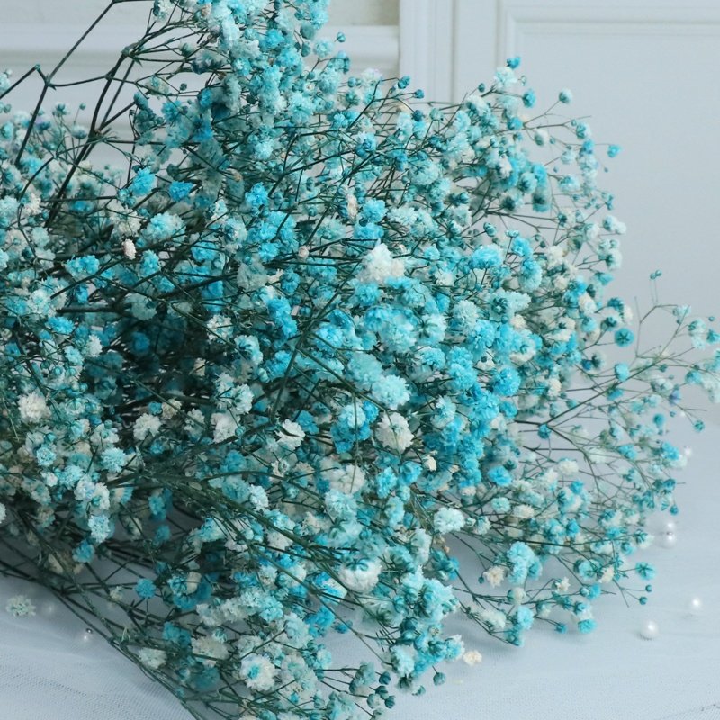 Yunnan Customized Color Baby's Breath Flowers Dried Gypsophila Flower DIY Floral Bouquets Celebration Arrangement Wedding