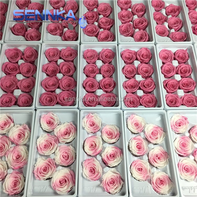 Yunnan grade A long lasting saving real roses wholesale preserved rose flower