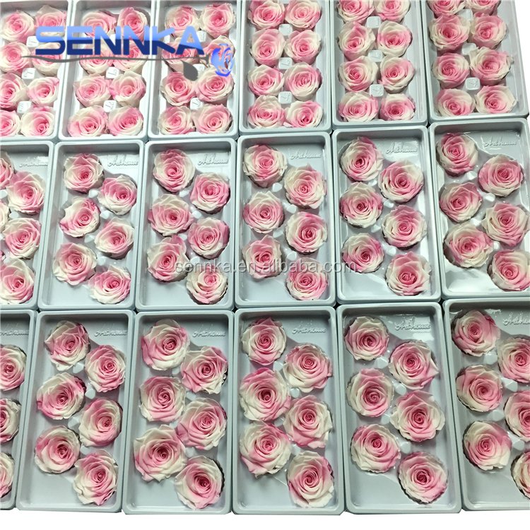 Yunnan grade A long lasting saving real roses wholesale preserved rose flower