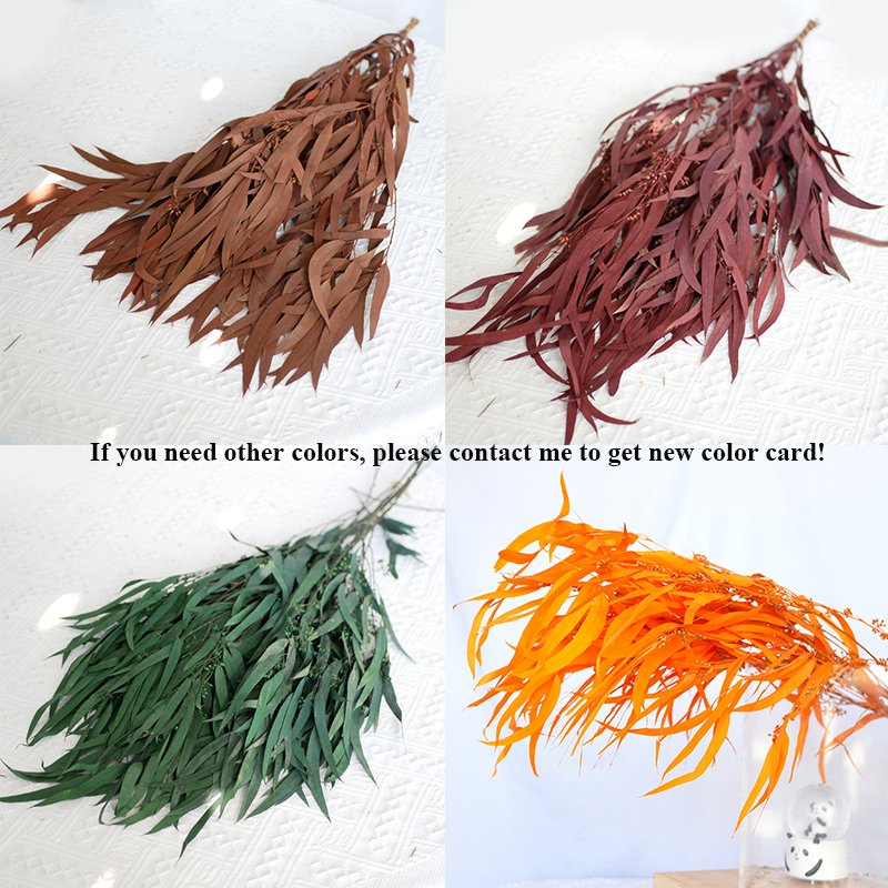 Wholesale Millet Leaf Fruit Eucalyptus Bleached Eternal Foliage White Willow Preserved Eucalyptus Leaves For Wedding Home Decor