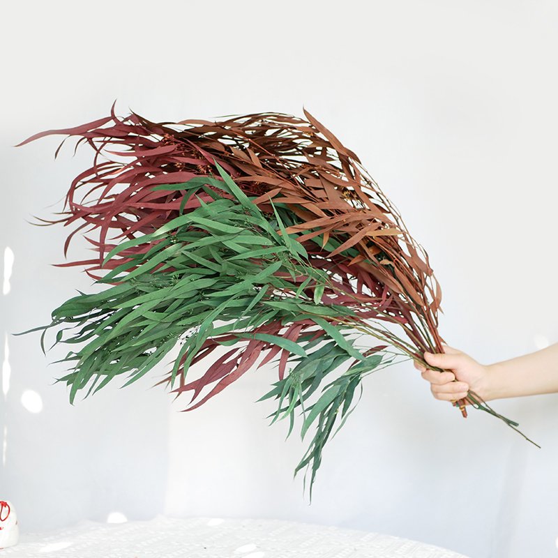 Wholesale Millet Leaf Fruit Eucalyptus Bleached Eternal Foliage White Willow Preserved Eucalyptus Leaves For Wedding Home Decor