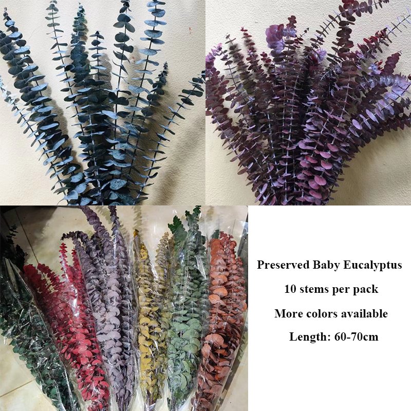 Wholesale Millet Leaf Fruit Eucalyptus Bleached Eternal Foliage White Willow Preserved Eucalyptus Leaves For Wedding Home Decor