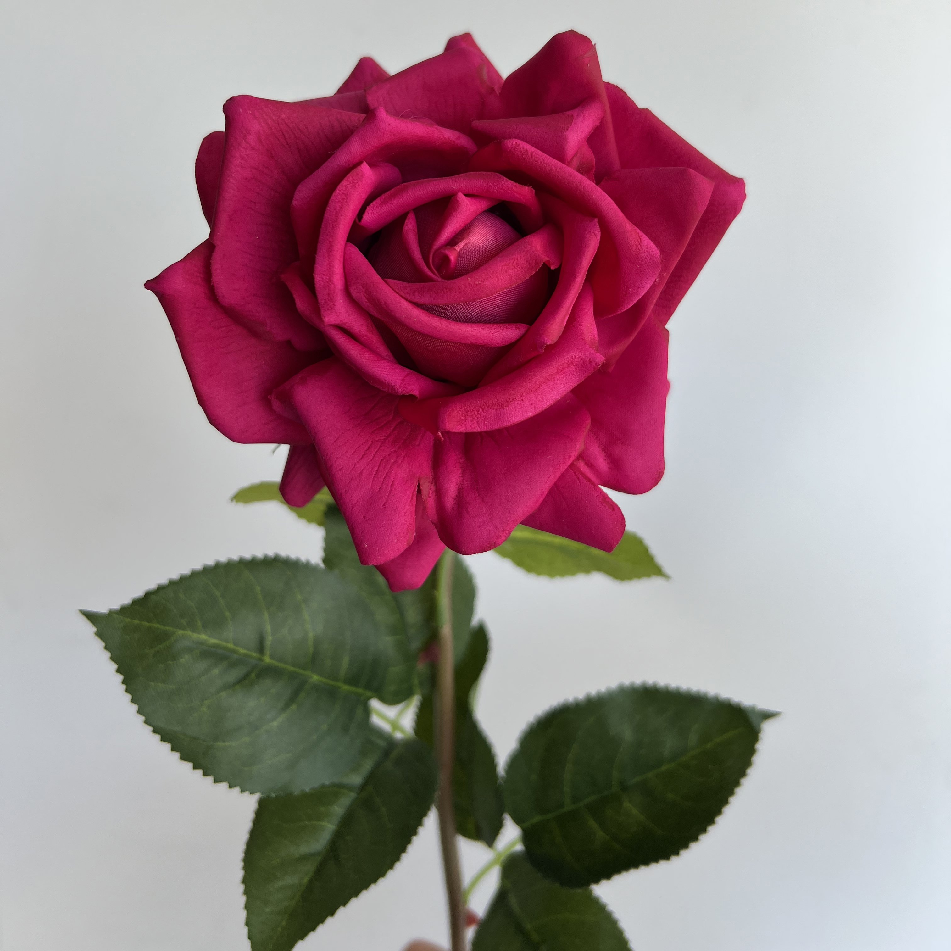 M721 Hot Sale New Design Real Touch Faux Silk Roses Artificial Silk Latex Rose Centerpiece Flowers For Wedding