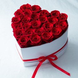27roses