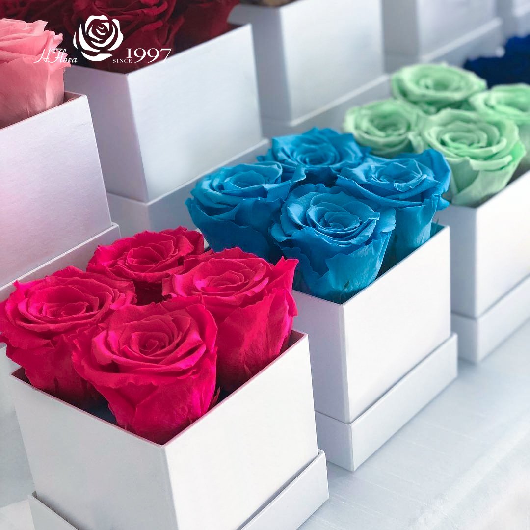 Valentine's Day 4 pcs Preserved Roses In Square Gift Box Factory A Grade Eternal Rose Natural Preserved Real Roses Bouquet