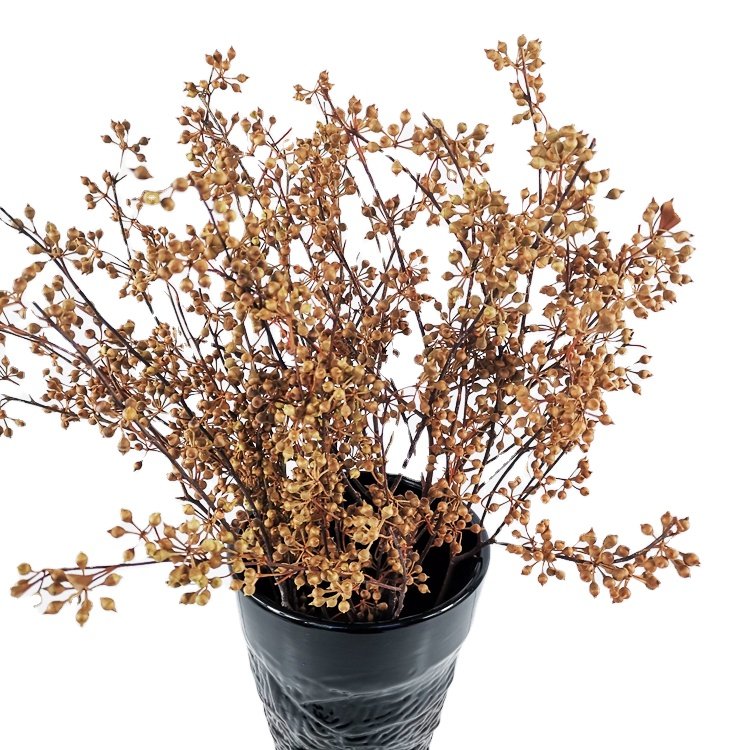 SumFlora Hot sales natural dry Combination flower from kunming preserved flower eucalyptus fruit small