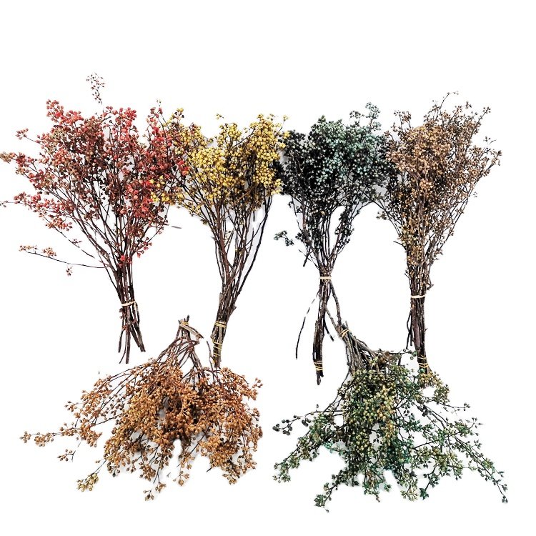 SumFlora Hot sales natural dry Combination flower from kunming preserved flower eucalyptus fruit small
