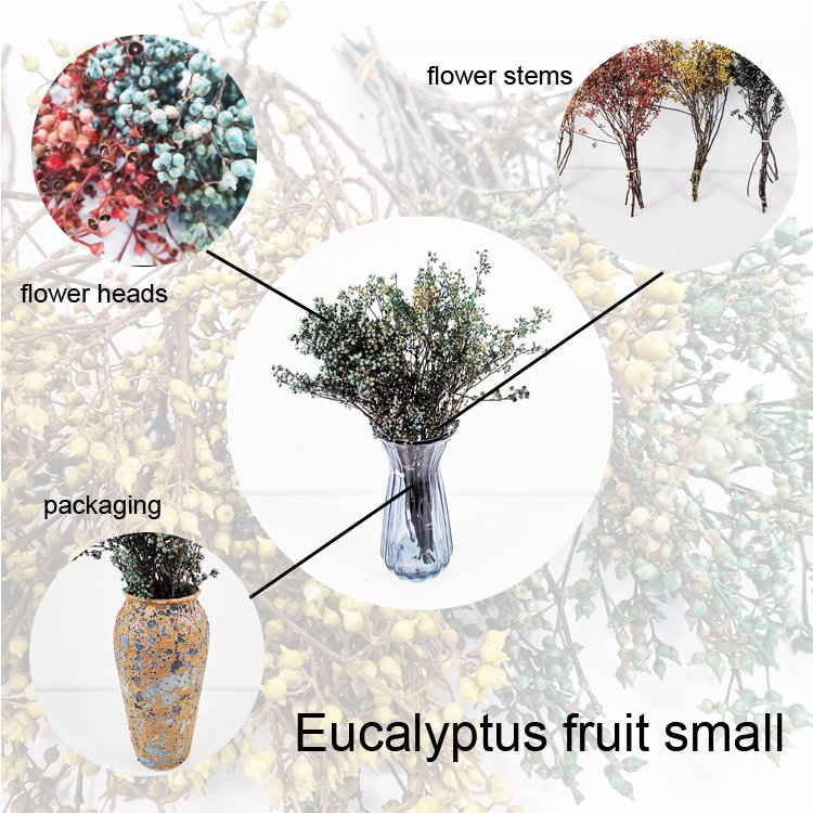 SumFlora Hot sales natural dry Combination flower from kunming preserved flower eucalyptus fruit small