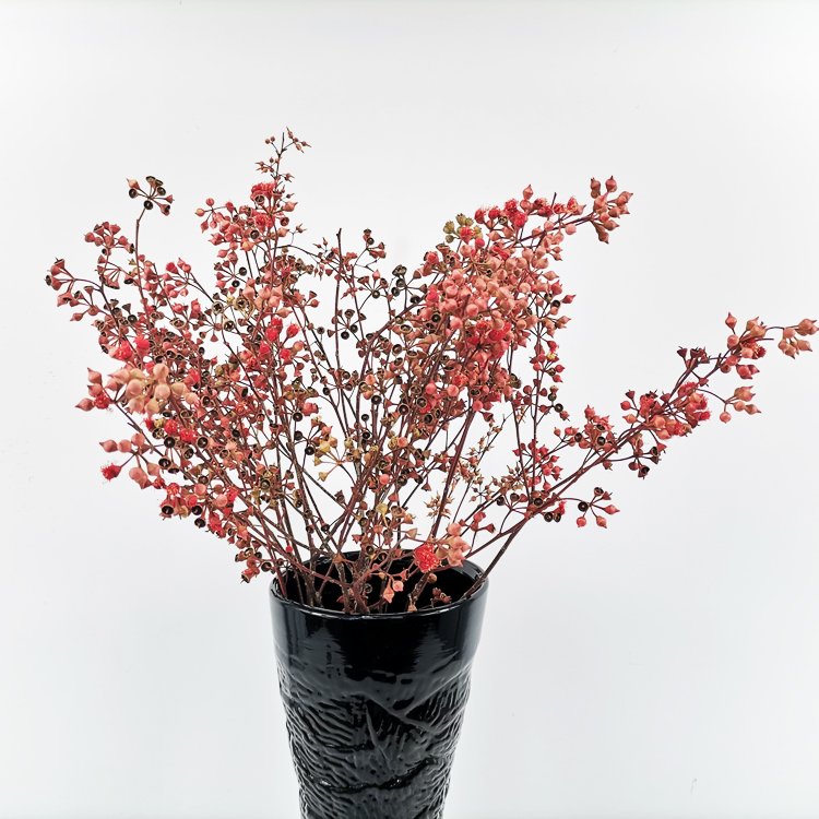 SumFlora Hot sales natural dry Combination flower from kunming preserved flower eucalyptus fruit small