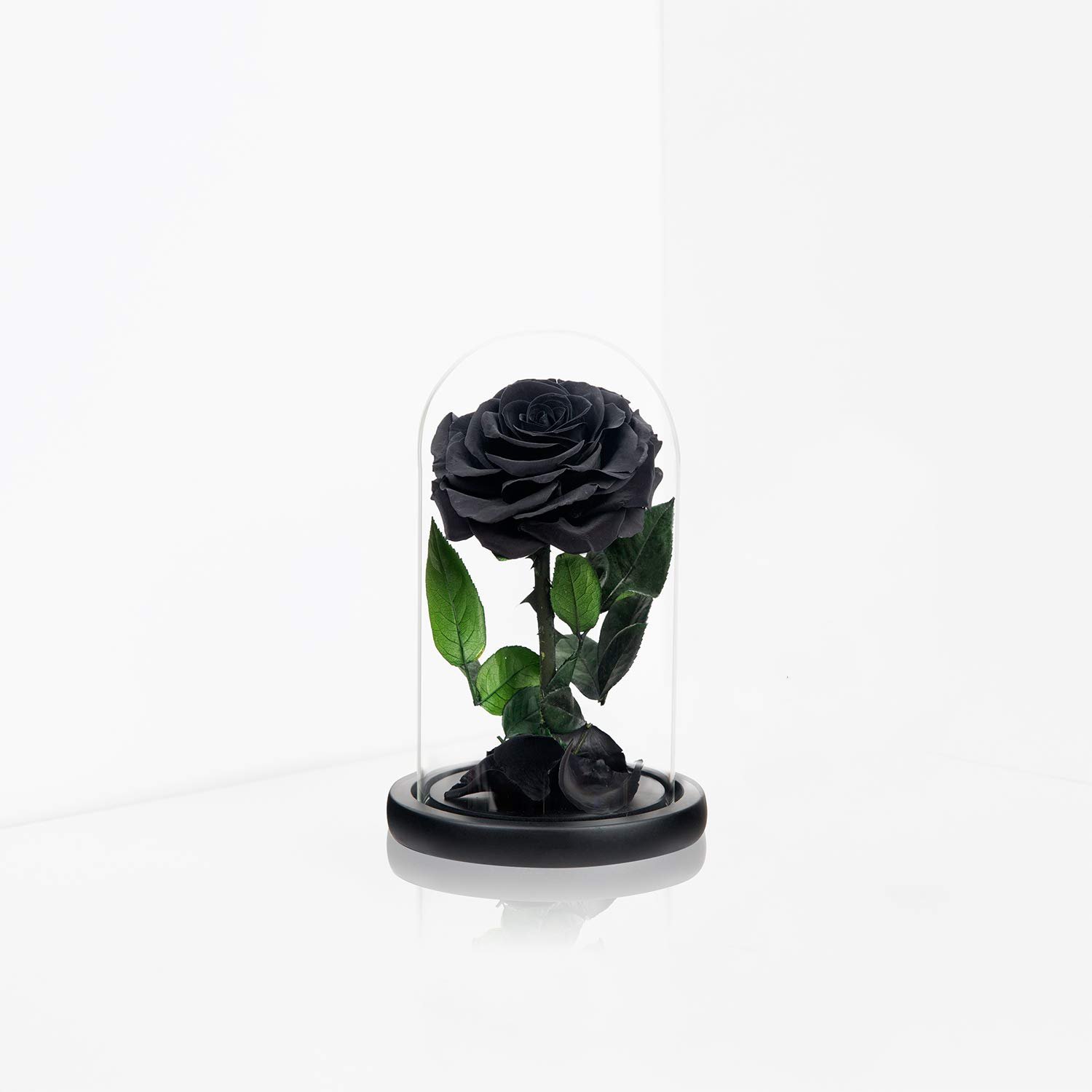 Dark Purple Real Rose Preserved Glass Wooden Base Versatile Christmas Valentine's Day Graduation New Year Easter Mother's Day