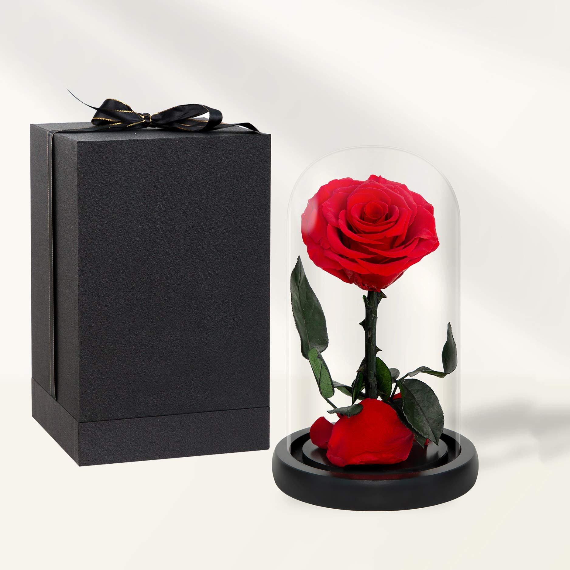 Dark Purple Real Rose Preserved Glass Wooden Base Versatile Christmas Valentine's Day Graduation New Year Easter Mother's Day