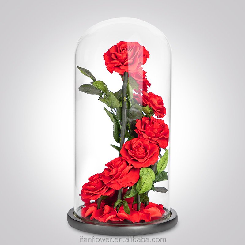 Japan factory iFan Flower preserved real rose flower in glass dome best quality