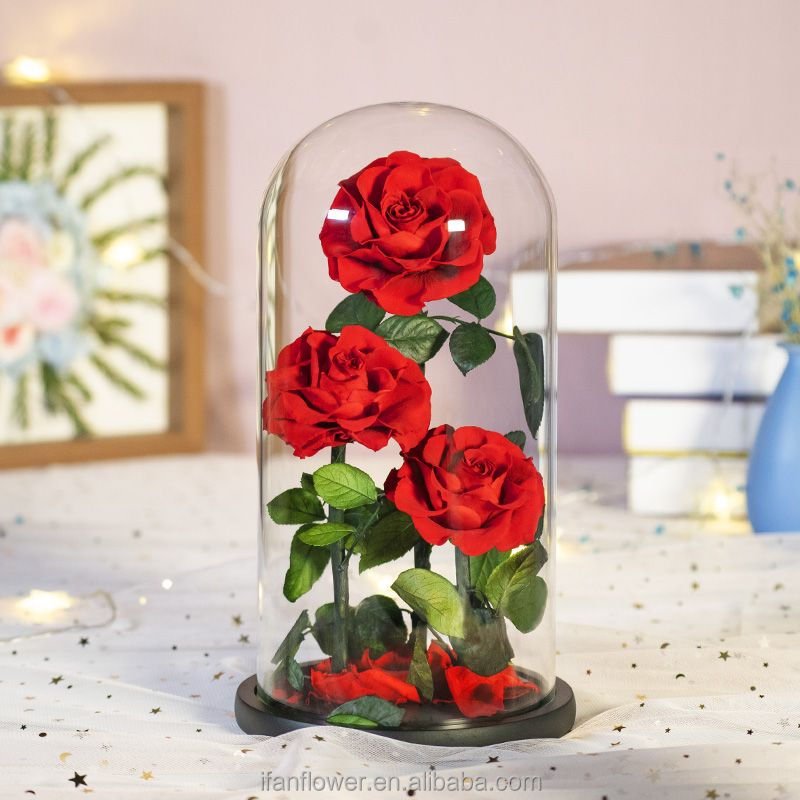 Japan factory iFan Flower preserved real rose flower in glass dome best quality