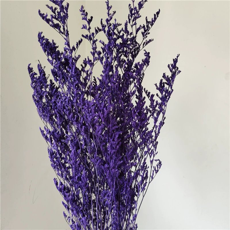 Yunnan Wholesale Home Decor Preserved Flower Misty Valentine grass Limonium For Floral Arrangement