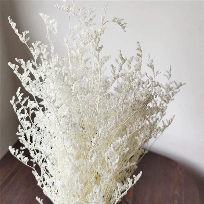 Yunnan Wholesale Home Decor Preserved Flower Misty Valentine grass Limonium For Floral Arrangement